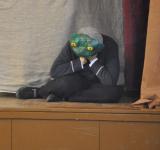 wind_in_the_willows1_mgl_2013_337.jpg