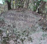 dsc02539.jpg