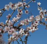 greecedsc_0270.jpg