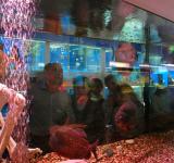 mgl_oceanarium_4774.jpg