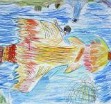 picture_mgl089.jpg