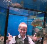 mgl_oceanarium_4780.jpg