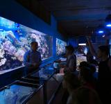 mgl_oceanarium_4727.jpg