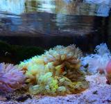 mgl_oceanarium_4750.jpg