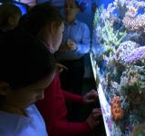 mgl_oceanarium_4751.jpg